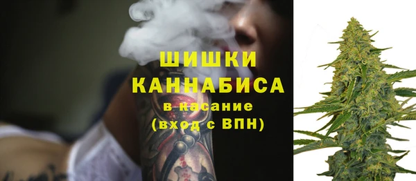 сатива Балахна