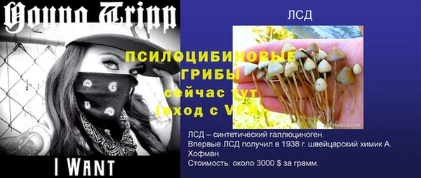 крисы Балабаново