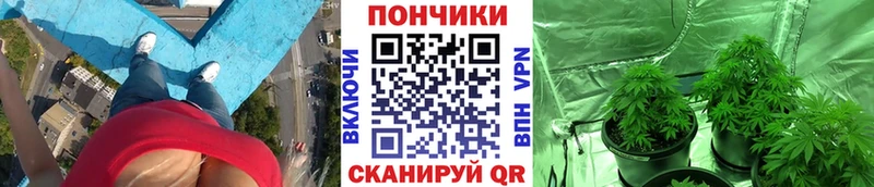 Конопля Bruce Banner  наркота  Баксан 